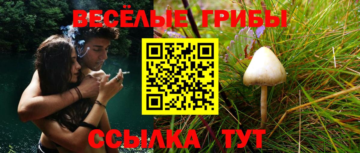Псилоцибиновые грибы MAGIC MUSHROOMS  Псилоцибиновые грибы MAGIC MUSHROOMS  Вход с VPN  Барабинск 