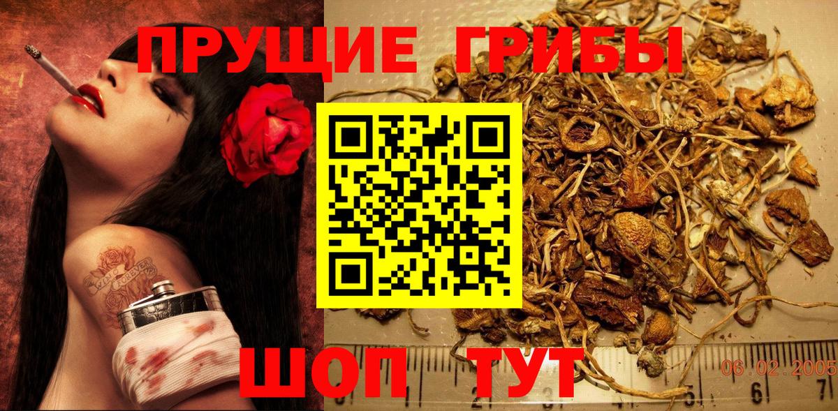 Галлюциногенные грибы Cubensis Барабинск